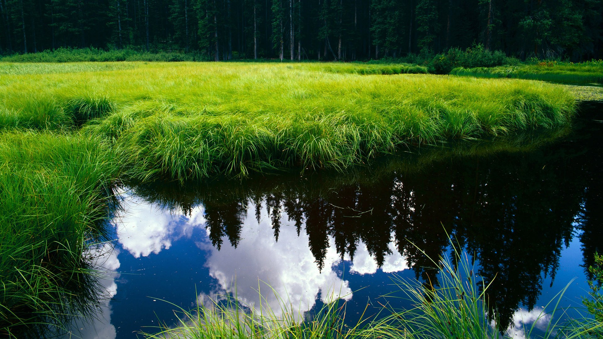 保级大战:末位球队拼杀,积分差距微妙变化,nba保级赛