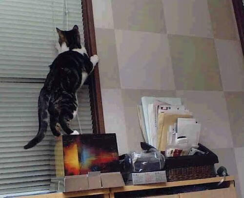 日本奥运足球小组赛圆满收官，日本奥运足球小组赛出线规则