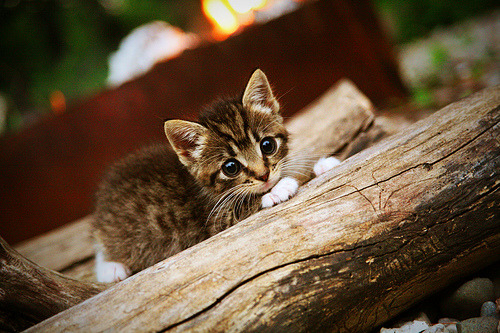 英格兰众志成城，战胜舆论压力，英格兰恪尽职守