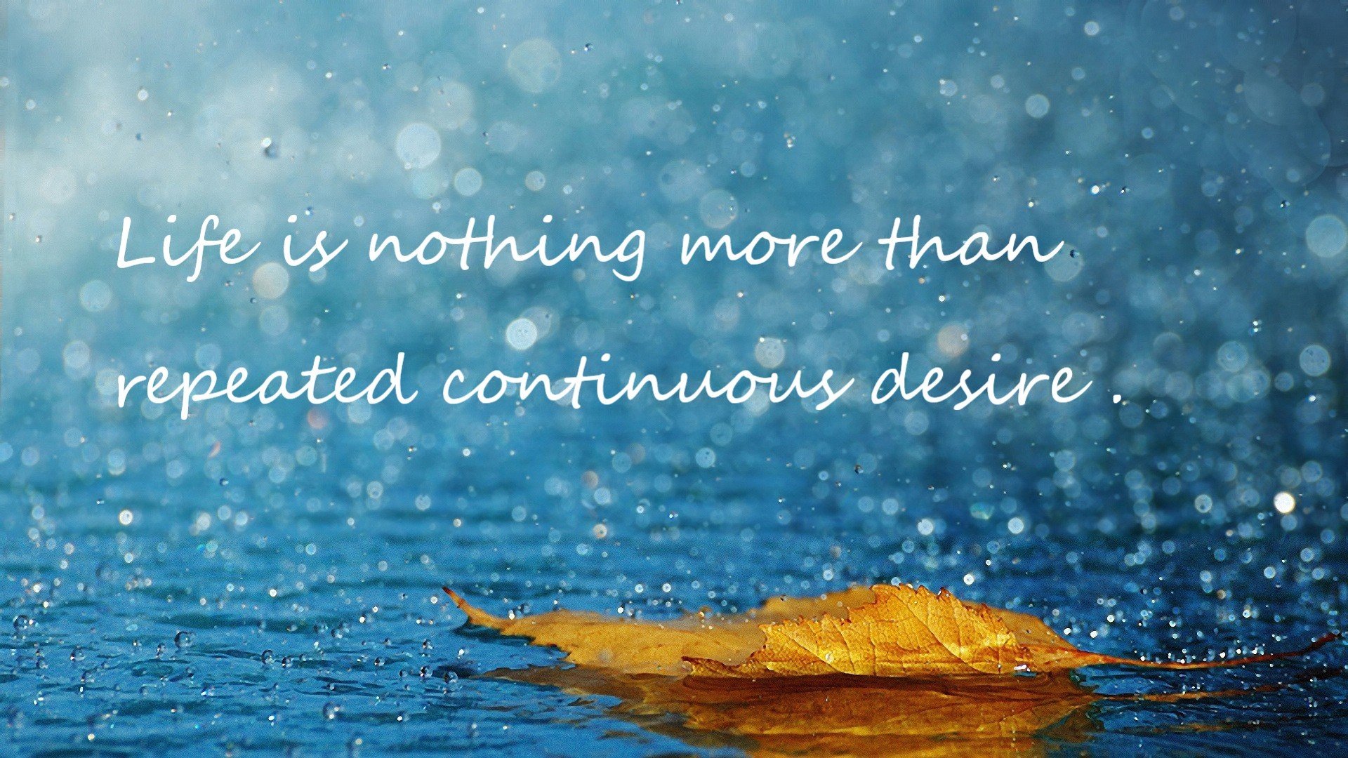 西班牙马术代表队在国际马术联盟世界杯中晋级决赛,展现强大实力。