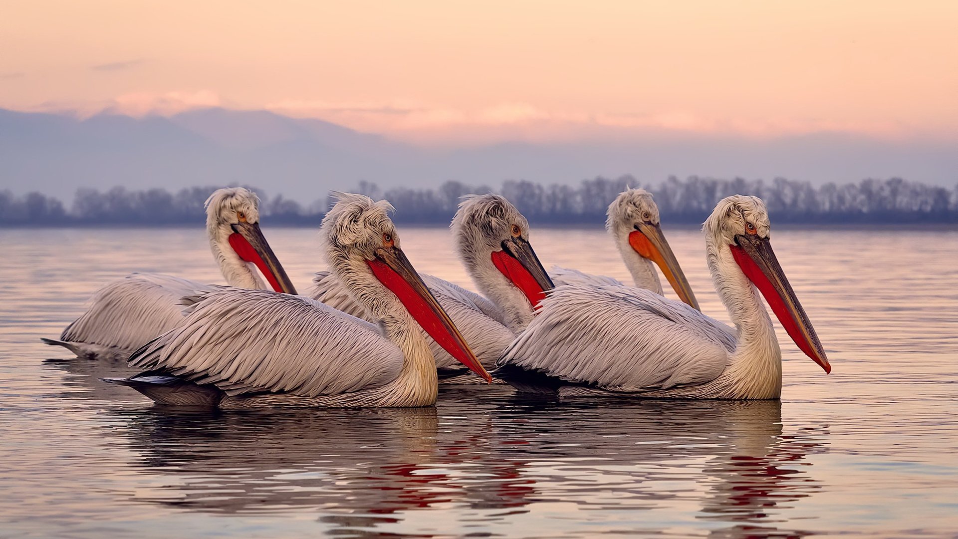 kaiyun体育app-青少年“绿色训练”实践在青海成功试点，环保理念深入人心，青少年绿色行动