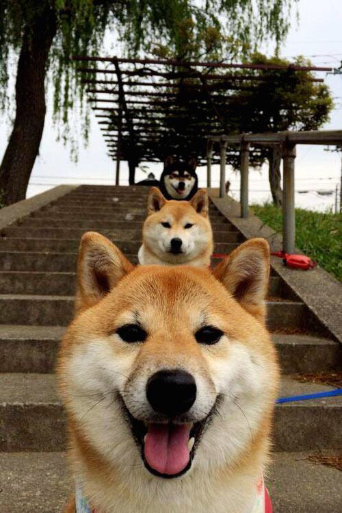 LPL新赛季预告片发布，lpl新赛季宣传片