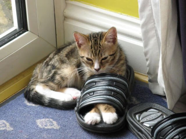 关键时刻决胜负,谁将成为赛场英雄?,谁赢得了这次竞赛的第一名_