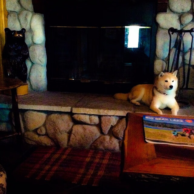 开云中国大陆-切尔西女足俱乐部管理层发声，切尔西女足池笑然