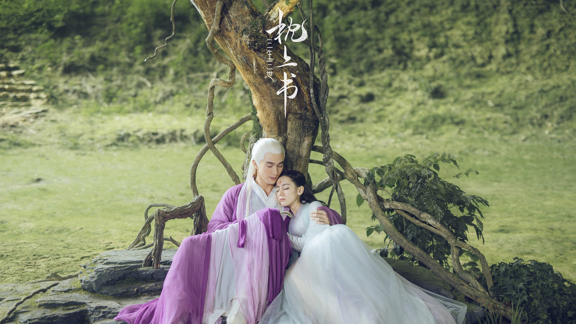 女足世界杯争议判罚引讨论,女足世界杯扩军