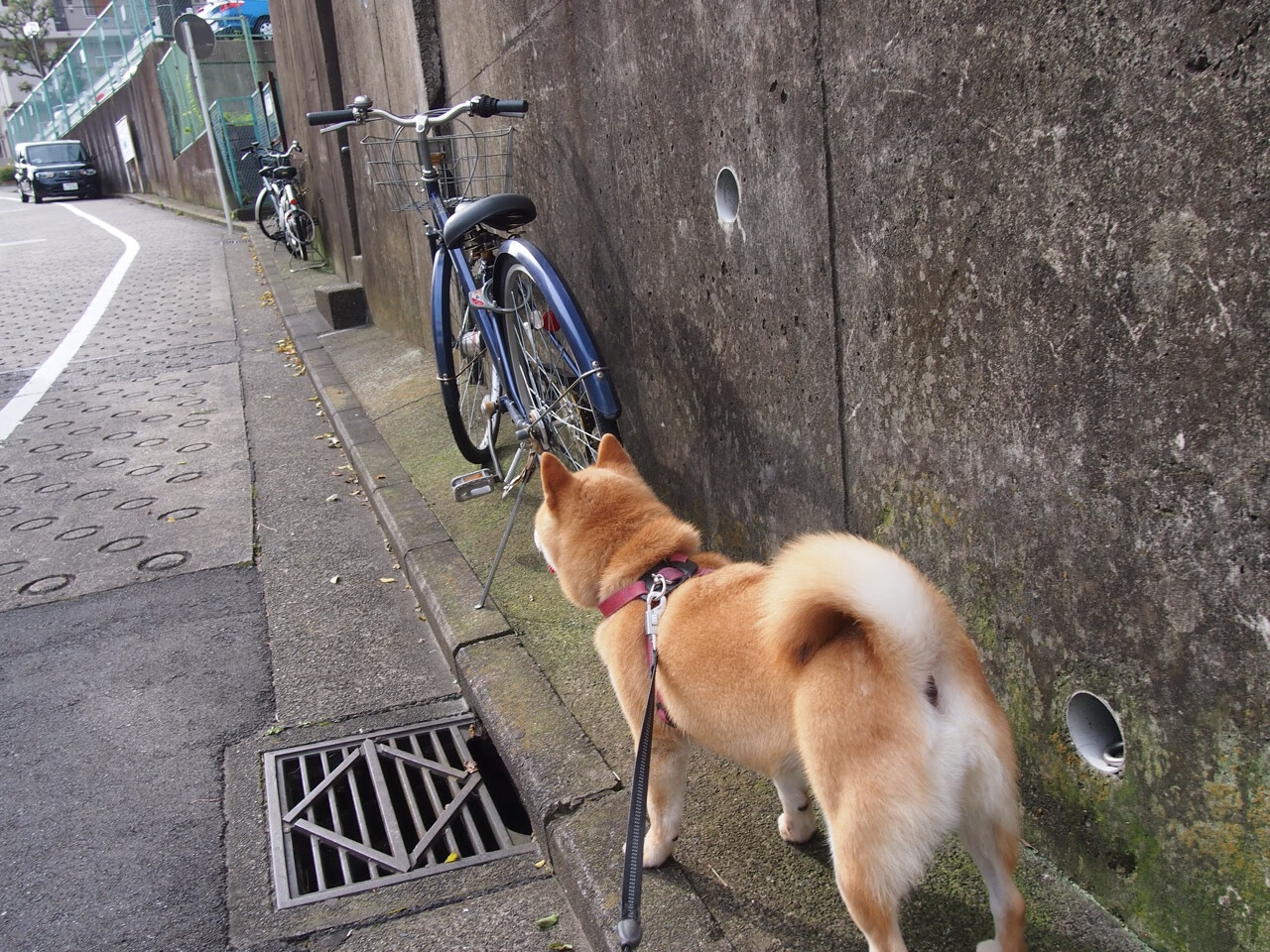 开云网页版登录入口-巴塞罗那客场-战平比利亚雷亚尔，巴萨和比利亚雷亚尔关系