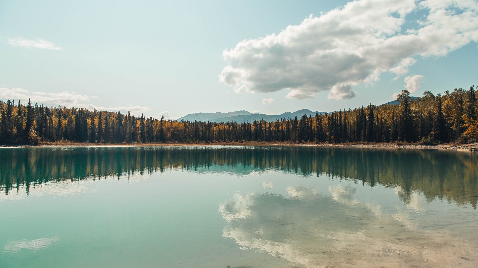德国女足队崭露头角，势不可挡，德国女足球队