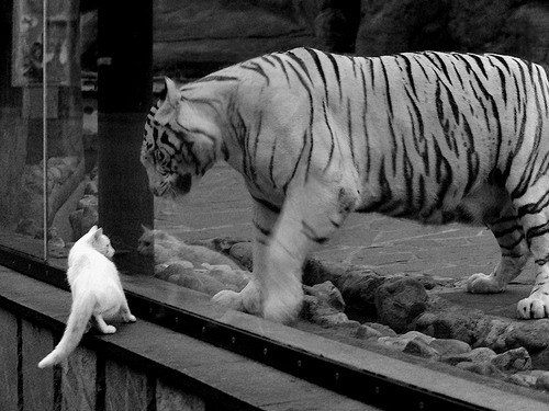 开云·体育官网-斯特拉斯堡打出进攻狂潮，取得胜利，1518斯特拉斯堡