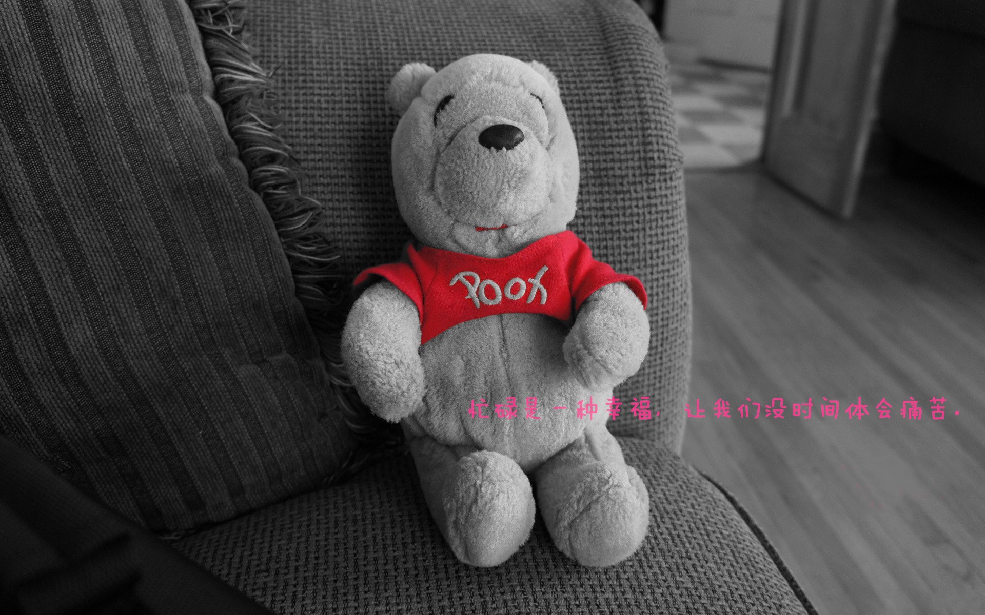 kaiyun体育综合-江苏龙球队战术执行细节不断优化，江苏足球龙洋