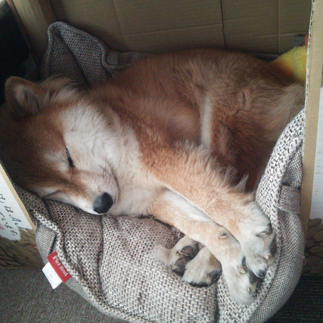 法国队在欧洲杯半决赛中被西班牙逆转,止步四强,法国队 欧洲杯