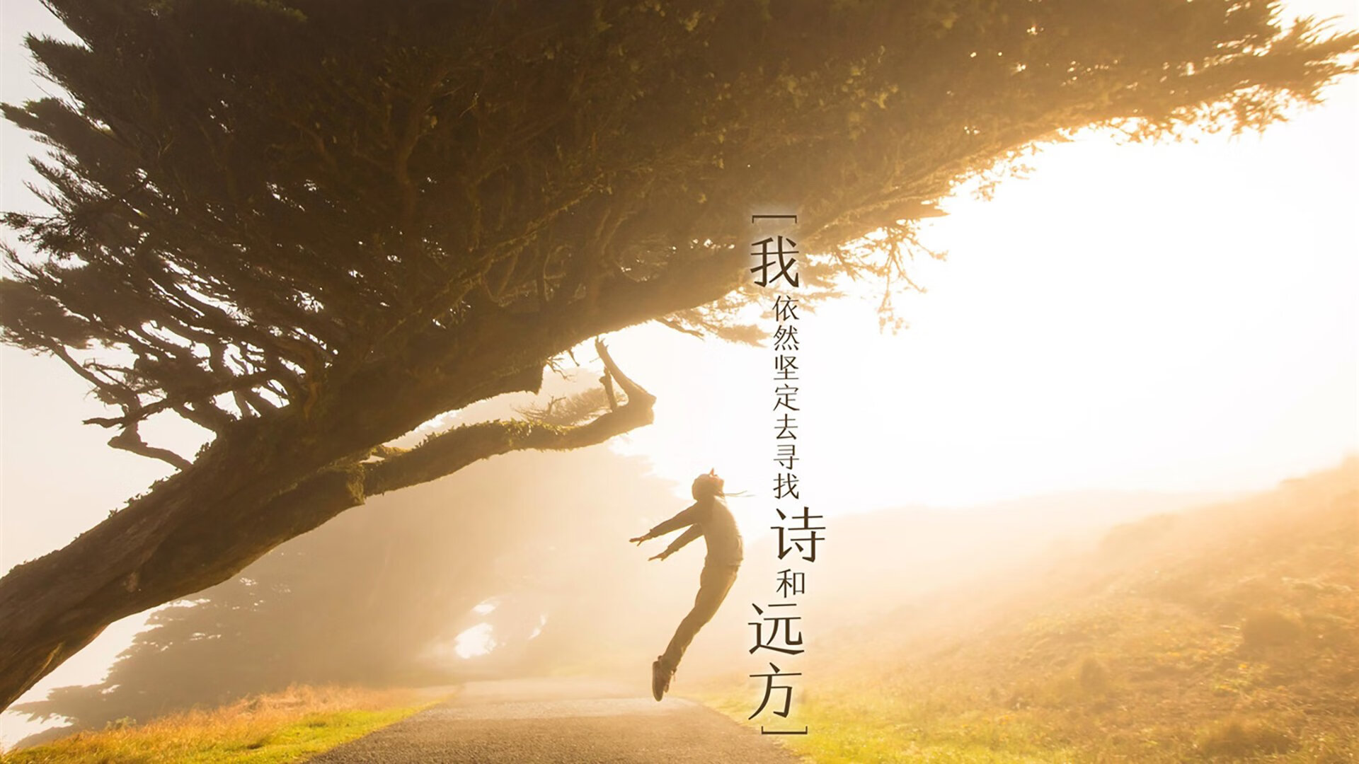 活塞队新秀表现令人期待,活塞队队球员名单