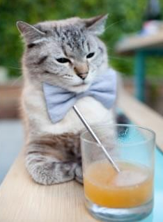 kaiyun官方网站-韩国K联赛本轮焦点战：全北迎战蔚山，韩国k联赛集锦