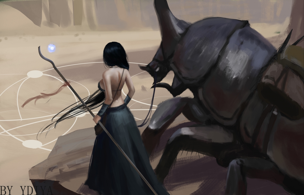 德甲赛事季票政策调整对球场复看率的影响，德甲赛季结束休息多久