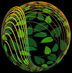 开云官网APP下载-未来青训：生态系统构建助推足球强国梦，足球生态系统建设