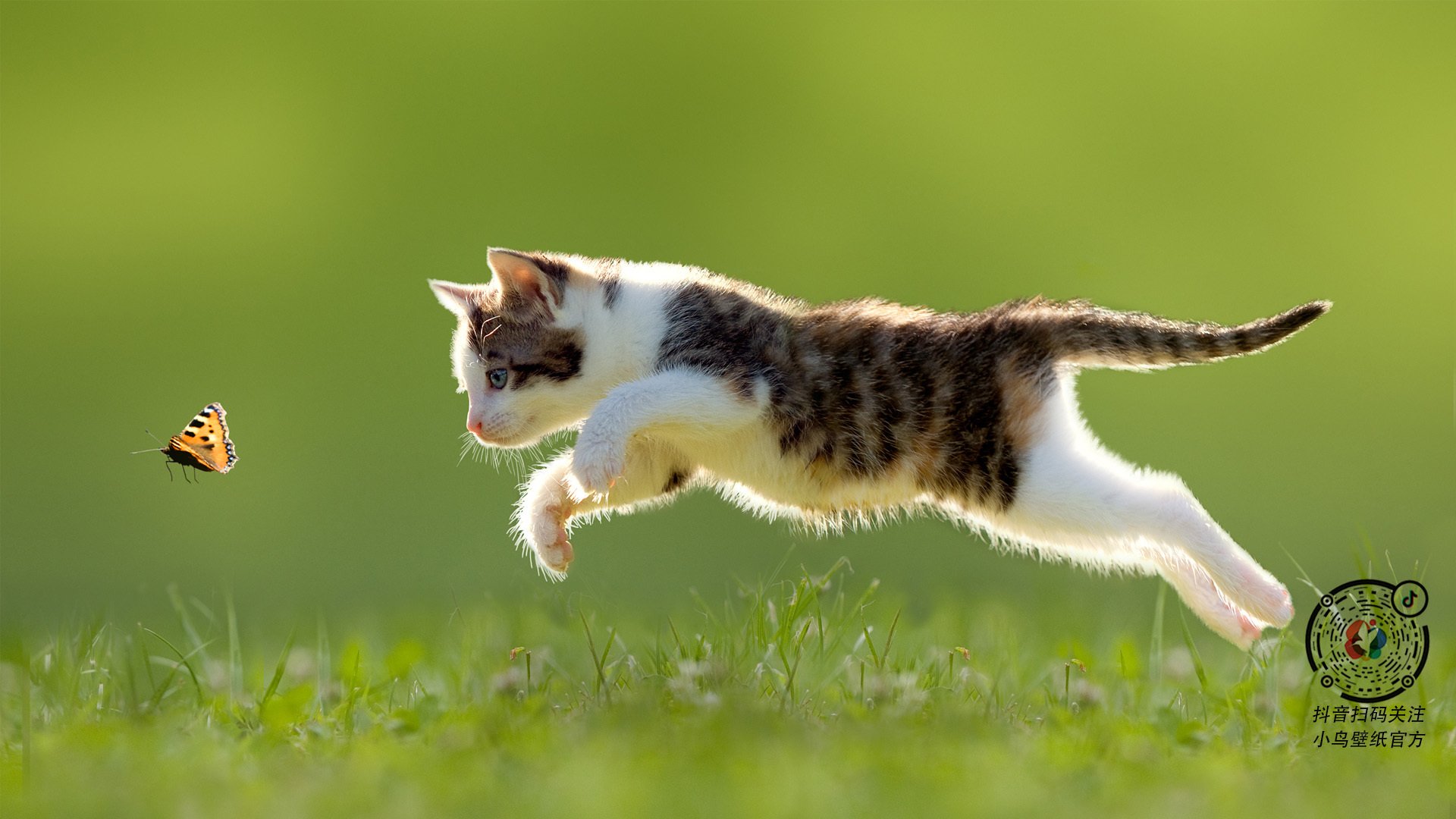 kaiyun开云·官方网站-西甲球员疲劳模型构建：融合GPS、心率与冲刺数据