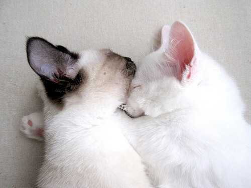 西甲青训出产球员投入一线队使用决定背后,西甲青训排名