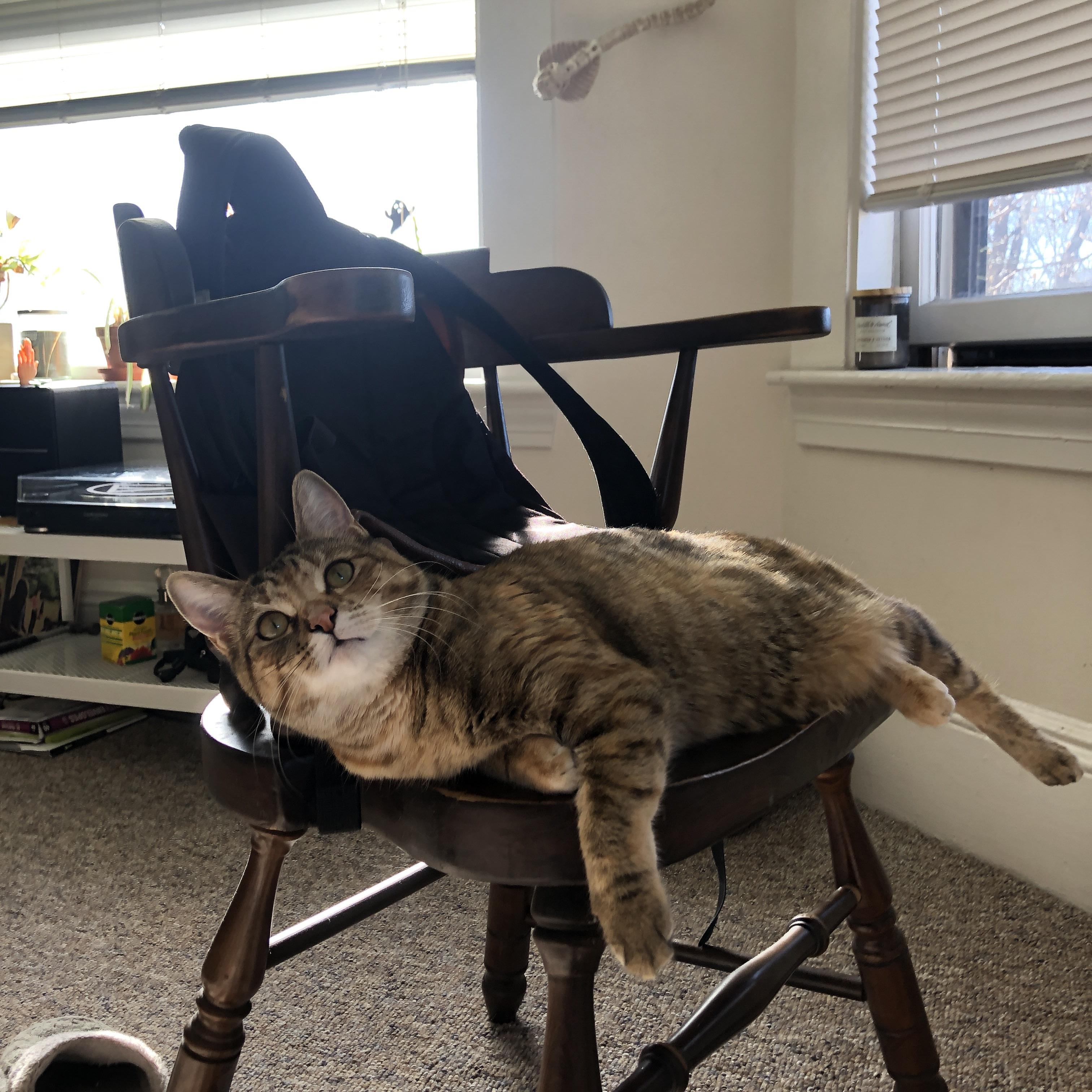 C罗再次上演帽子戏法 刷新国家队进球纪录,c罗的帽子戏法视频大全