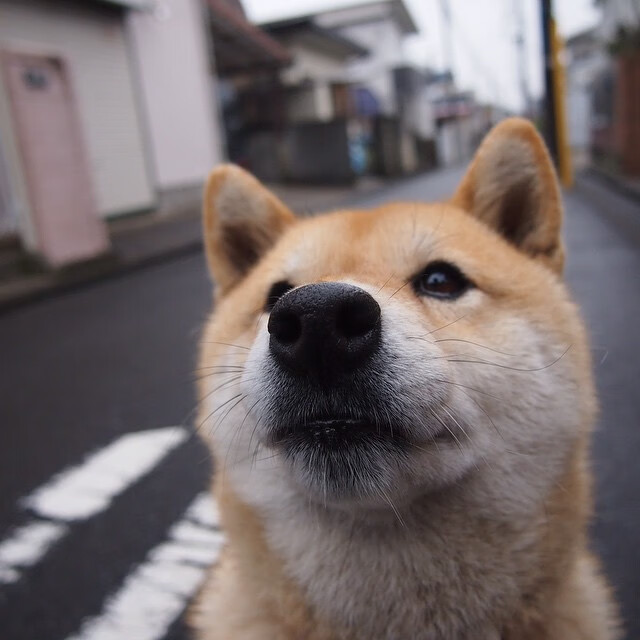 kaiyun体育app-中甲联赛球员平均年龄降低体现青训成果逐步显现，中甲球员平均年薪