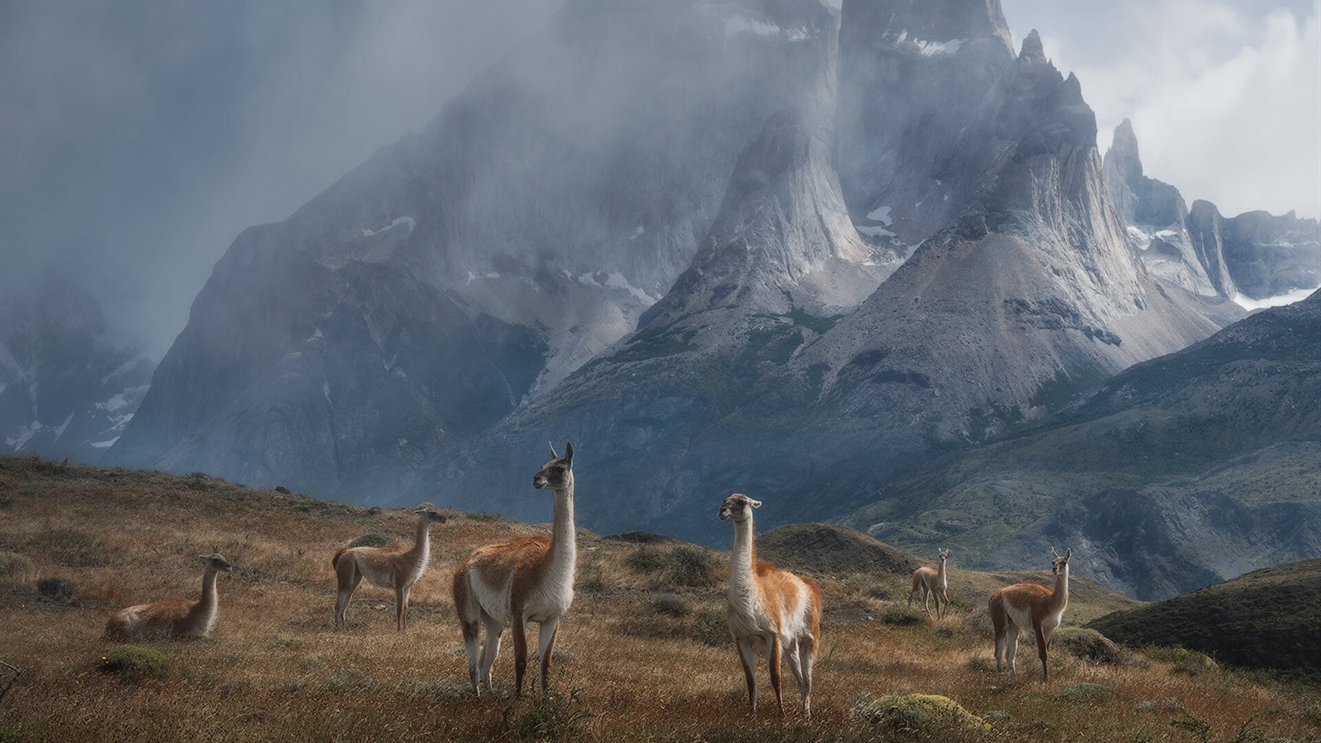 乌拉圭女篮在南美锦标赛中持续强势,体育事业持续腾飞,乌拉圭篮球联赛2021