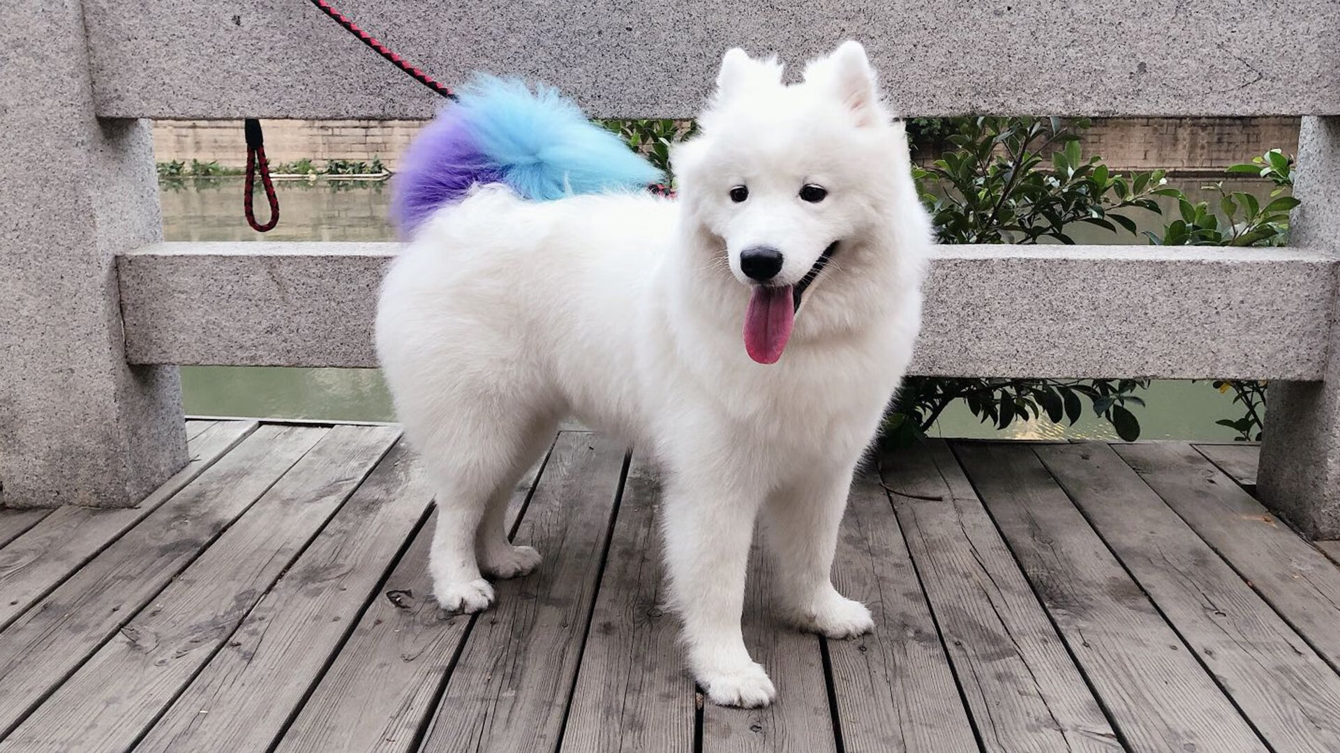 体育新闻中心发布全国田径锦标赛地点调整承办城市,全国田径锦标赛百度百科