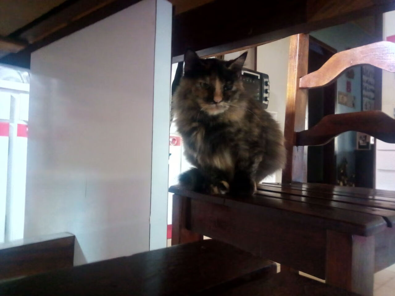 俱乐部青训项目持续推进为未来国家队输送优秀人才,青训出名的俱乐部