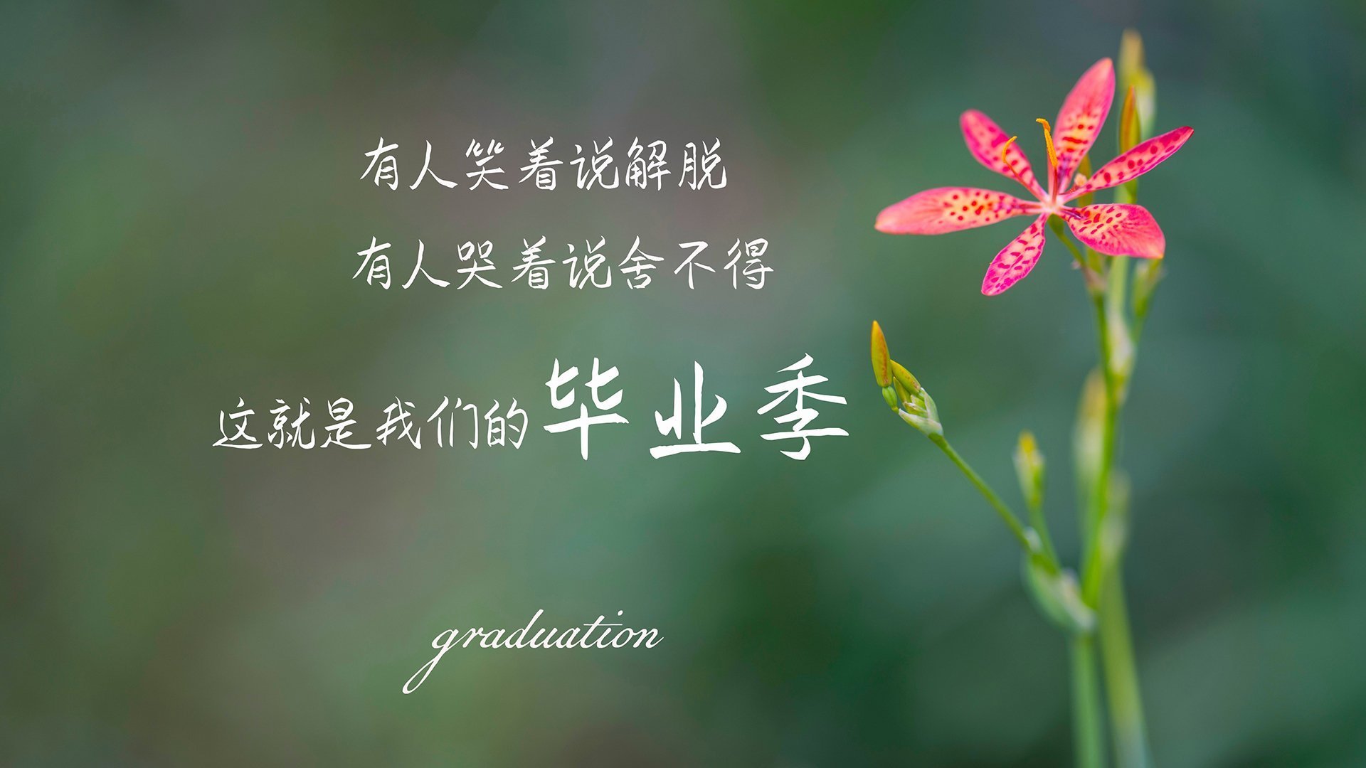 西甲攻防战:精彩瞬间不断刷新纪录!,西甲榜首大战