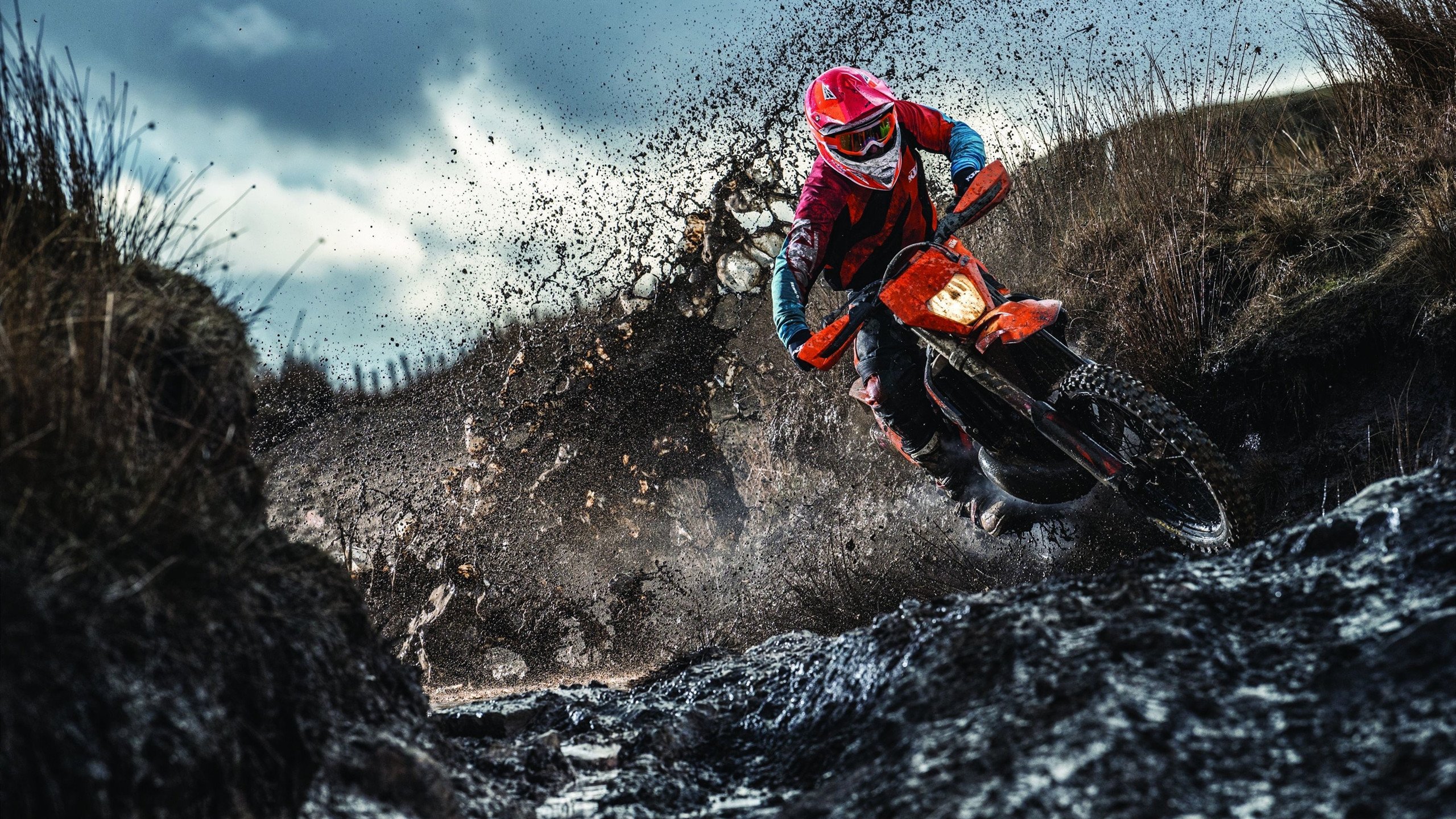 “牛仔3K亲子跑:让家庭在香港赛道上共奔跑”